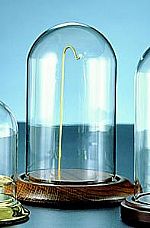 Watch Domes, Ornament Display Domes, Glass Dome
