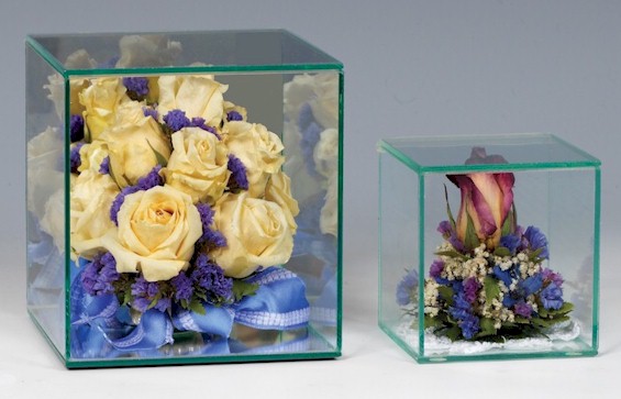   Display Cases -  Glass Cube Cases
