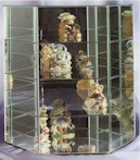 Curio Cases - Hexagon - Large Shelved Glass Display Curio Cabinets