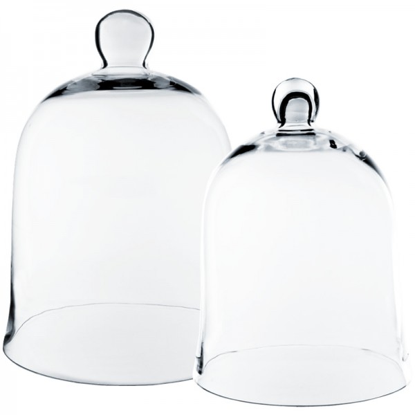 Glass Domes Medium Bell Jar Cloche 8" x 9 1/2"H, Glass Cloches