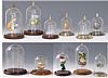 Glass Domes, Glass Display Dome, Watch Domes, Acrylic Display Domes & Thimble Domes