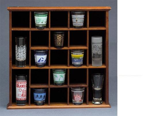 Collectors Case - Miniature Curio Display or Shot Glass Display