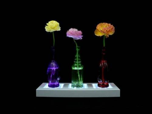 Light Bases, Lighted Risers