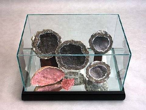  Collectible Glass Cases - Rectangular Large