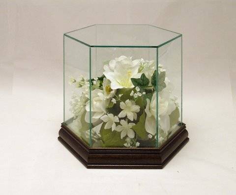  Collectible Glass Cases - Hexagon Standard