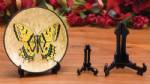 Plate Easels - Hinged - Economical Small