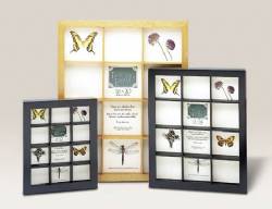  Collectors Cases - Treasure Frame - Black