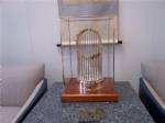  Display Cases -  Premium Custom Glass & Brass Case