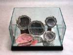  Collectible Glass Cases - Rectangular Large