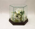  Collectible Glass Cases - Hexagon Standard