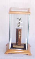 Display Cases - Sports Memorabilia