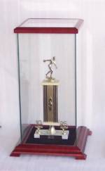 Display Cases - Sports Memorabilia