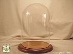 Special Order 8" Diameter Ornament Domes