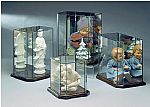   Doll Cases and Figurine Displays - Mirrored Back with Wood Base