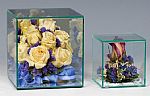   Display Cases -  Glass Cube Cases