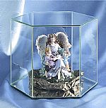   Doll Cases - Hexagon - Glass Base - Medium
