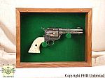 Hand Gun Display Cases
