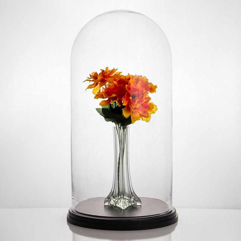 Glass Dome - Large - 11.75" x 19.75"