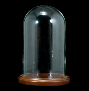 Acrylic Display Dome 6 1/2 Diameter with knob, Glass Domes and Acrylic  Domes