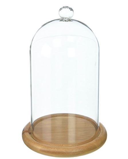 Acrylic Display Dome 6 1/2 Diameter with knob, Glass Domes and Acrylic  Domes