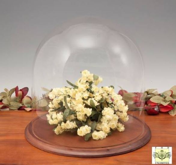 Acrylic Domes - Large 15" x 15" H with Base