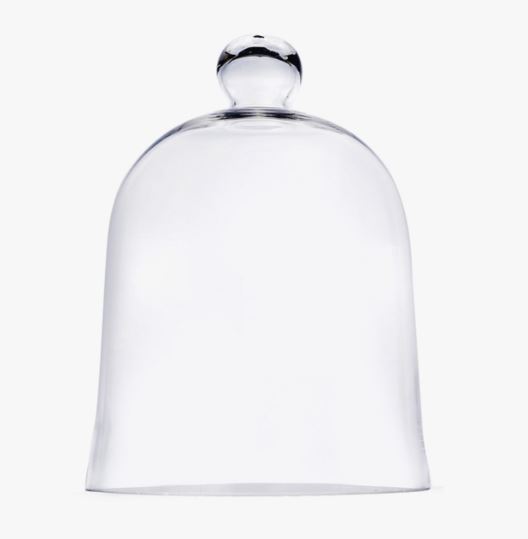 Glass Dome - Bell Jar Cloche - 12" x 16"