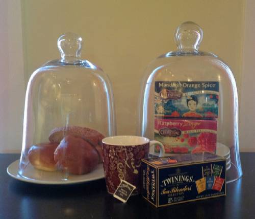 Selection of Bell Jars & Cloches