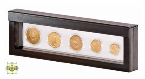 Challenge Coin Case - Five Coin Display, Challenge Coin Displays