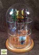 Shot Glass Display Dome- 24 Shot Glasses