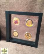 Challenge Coin Case - Four Coin Display