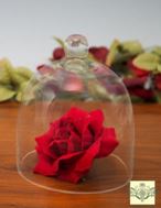 Glass Domes - Small Bell Jar Cloche -  Set of 3