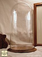 12 inch doll display case