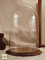 Small Plastic Display Domes - National Artcraft