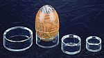 Clear Cylindrical Egg & Ball Stands - Set of 12