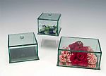Display Cases - Glass Beveled Jewelry Boxes